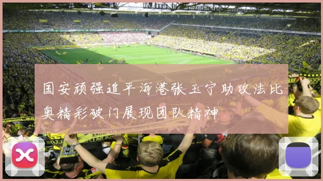 国安顽强追平海港张玉宁助攻法比奥精彩破门展现团队精神
